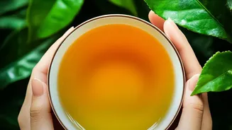 Health focus reshapes Indian tea habits