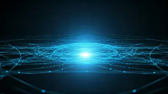 MSN's Global Presence: A Quick Look