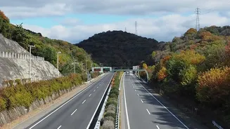 New Expressway Stretch Brings Faster Punjab And Katra Road Trips Closer
