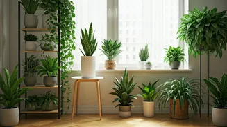 Low-Maintenance Greens Are Perfect For Busy Homes