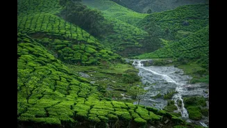 Planning A South India Trip In 2026? This Content Creator Shares Rates Places He Has Visited