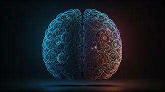 The 5 AM Wake-Up Myth: A Neuroscientist's Take on True Brain Productivity
