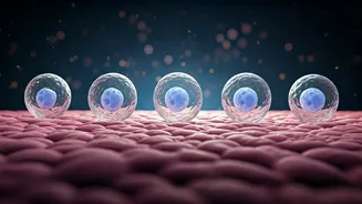 Related Stories banner