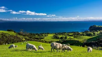 Your guide to exploring New Zealand's countryside