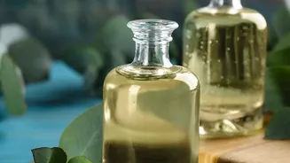 Eucalyptus Oil Storage Matters Because Concentrated Oils Can Be Harmful If Ingested