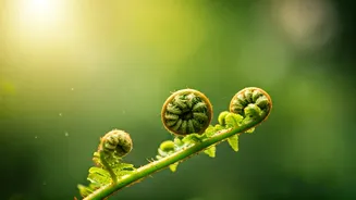 April's Chosen Few: Strong & Unique Names for Your Spring Baby