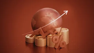 Budget 2026: PIOs can now invest directly in PMS instead of routing via GIFT City