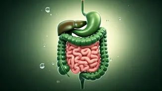 Nutritionist's Secrets: How to Beat Constipation While Losing 30 Kg on GLP-1 Drugs