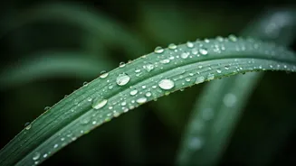 Rainy Season Skincare Is Finally Getting Easier