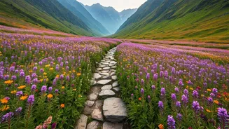 Eco Conscious Trekkers Head To Uttarakhand Valley Of Flowers