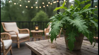 Turn Your Terrace Into A Cooler Monsoon Retreat
