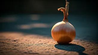 Beat the Heat: Jyotiraditya Scindia's Timeless Indian Wisdom for Summer Survival