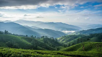 Planning Hill Station Trips? Check Rain Updates Before Finalising Your Booking