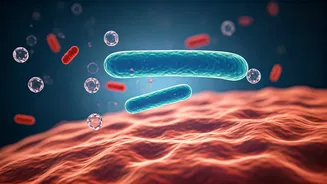 Immunity Foods Are Getting More Targeted Now