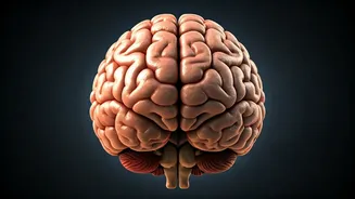 7 Habits for a Sharper Mind: Lowering Dementia Risk