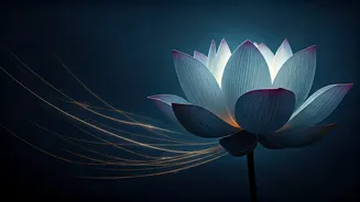 Rumi's Wisdom: Unveiling the Enigma of Womanhood and Male-Female Harmony