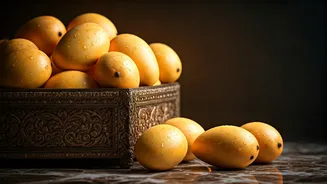 Lucknow's Incredible Mango Craze Is Catching Global Media Attention