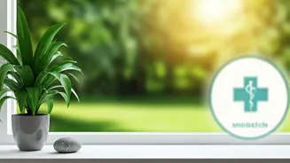 Navigating Life's Ups & Downs: Mental Well-being in India