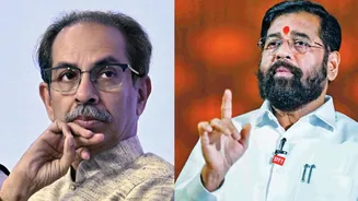 सर्वात मोठी बातमी! उद्धव ठाकरे यांना पुन्हा मोठा झटका बसणार? त्या आमदारांवर शिंदे गटाची नजर; बड्या नेता म्हणाला, ऑपरेशन टायगर…