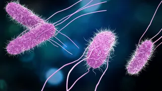 Crise climática está acelerando resistência a antibióticos no mundo