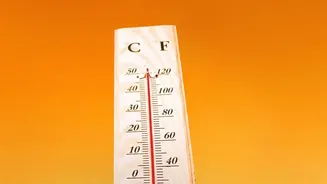 Why Rising October Heat Trends Force Local Authorities To issue Urban Thermal Advisories