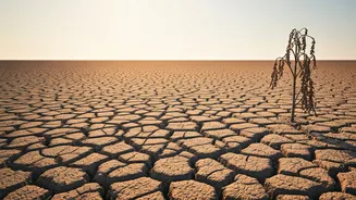 Why Driest June Since British Era Is Major Alert