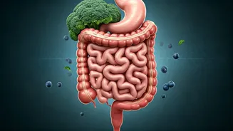 Healthy Foods That Can Harm Your Gut: A Harvard Expert's Take