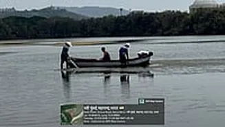 Navi Mumbai News: Clean-Up Begins At DPS Flamingo Lake, But Experts Warn Of Deeper Ecological Crisis