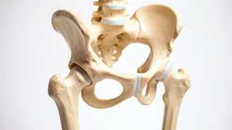 Stiff Hips? 9 Winter Mobility Boosters