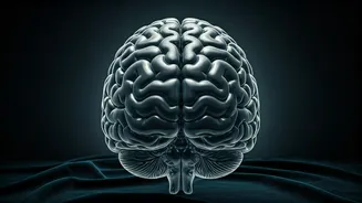 Beauty's Influence: How Aesthetics Shape Our Emotions