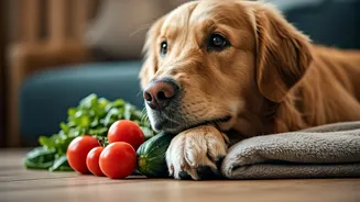 Pet Parents Should Watch Skin, Food And Comfort