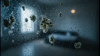 How Warm Indoor Temperatures Combined With Monsoon Moisture Speed Up Microbe Proliferation Rates