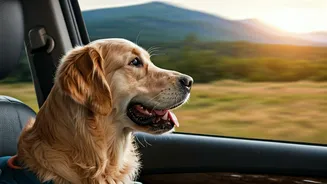 Pet-First Getaways Are The New Family Travel Mood