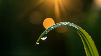 Unlock Your Day: 7 Powerful Morning Affirmations for a Balanced Life
