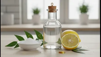 Natural Cleaning Ingredients Can Help During Monsoon, But Expectations Matter