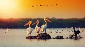These wildlife sanctuaries in Europe are worth the trip