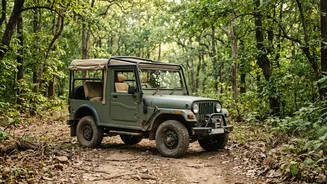How To Track Booking Schedules Across Multiple National Parks To Ensure Safari Permit Success