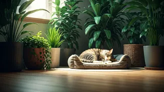 Greener Homes Are Becoming Calmer For Pets