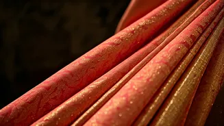 Alia Bhatt's Showstopper: Saree's Glittering Magic