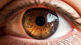 Boost Eye Health: Simple Daily Habits for 2024