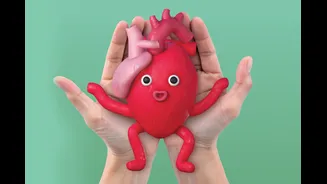 Qual é a idade do seu coração? Saiba que ela pode ser diferente da sua idade real