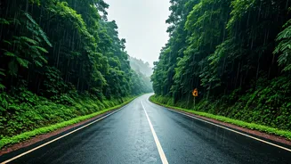 Monsoon Road Trips Make Huge Comeback In India