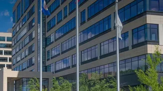 Why Medical Insurances and Safe Liquid Emergency Funds Are Essential Prerequisites For Market Investing
