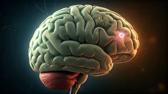 Semaglutide's Brain Metastasis Breakthrough: Extending Lives for Cancer Patients