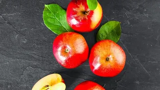 Kashmir Cooperatives Upgrade Storage Tech To Minimise Post-Harvest Spoilage In Apple Belt