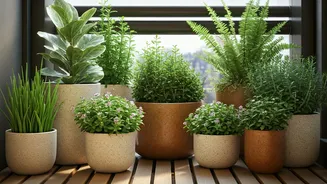 Balcony Plant Parents Want Beauty Without Breakdown