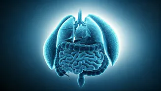 Related Stories banner