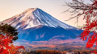 On Closer Inspection, Japan's Exit Tax Increase Is a Reminder to Budget beyond the Booking Button