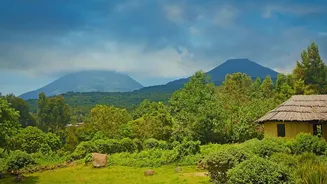 Eight Destinations Turn Tamil Nadu's Monsoon Into a Landscape Tour