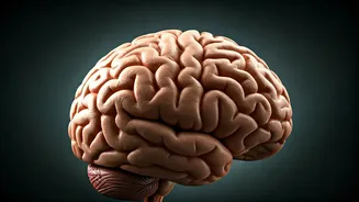 Gemini's Daily Dose: October 23, 2025 is here